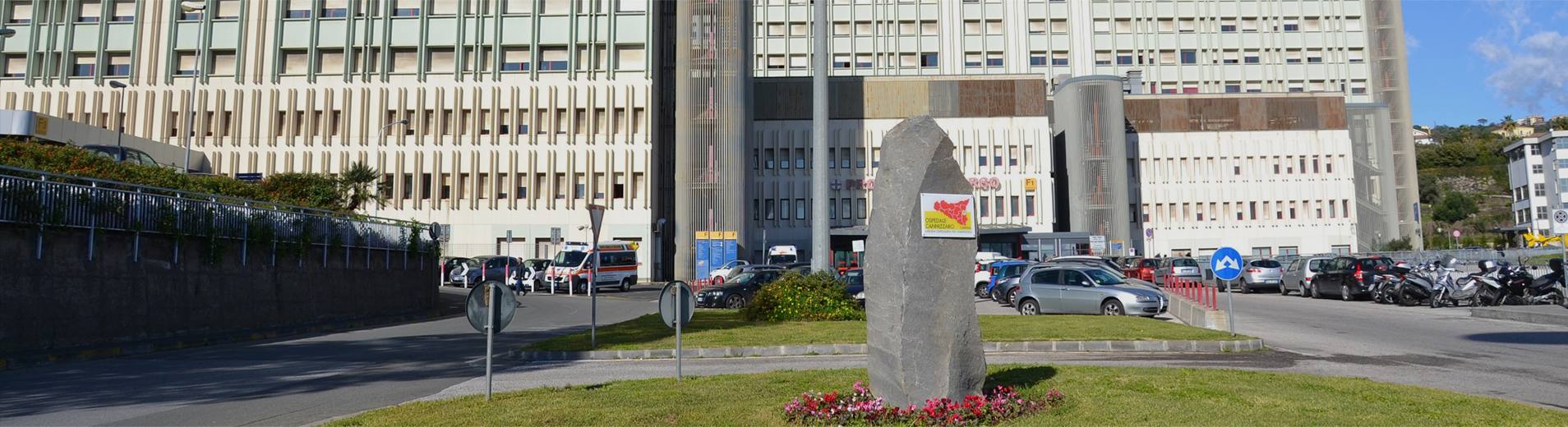 descrizione immagine