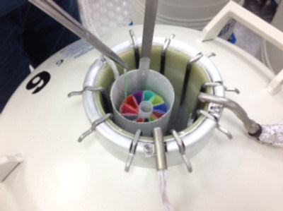 Dewar della biobanca